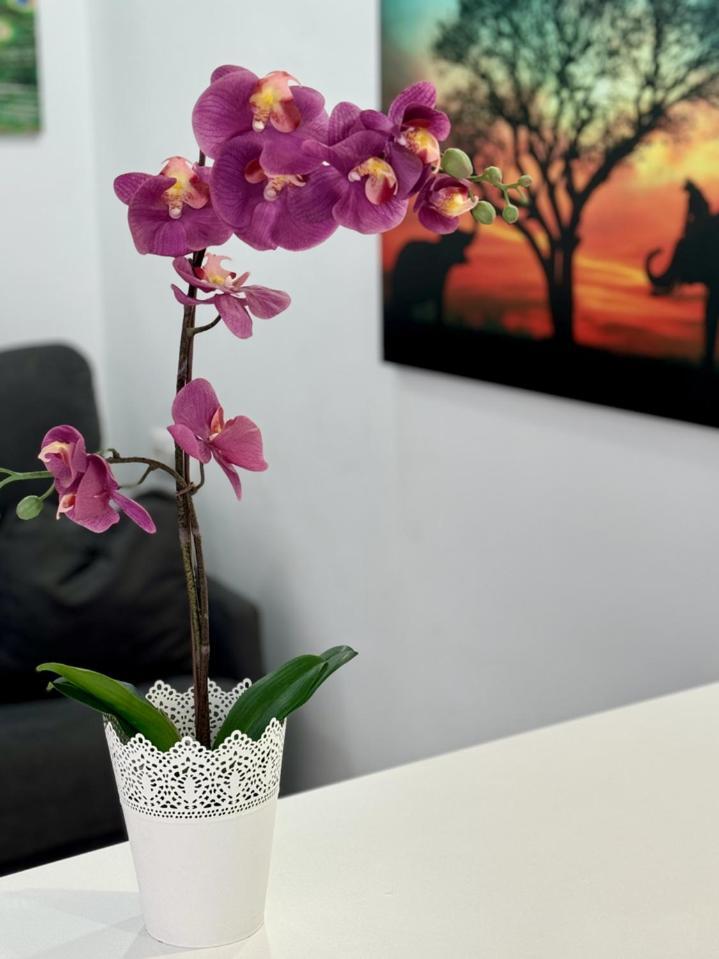 San Eugenio Charming Renovated Apartment Tenerife Costa Adeje  Exteriér fotografie