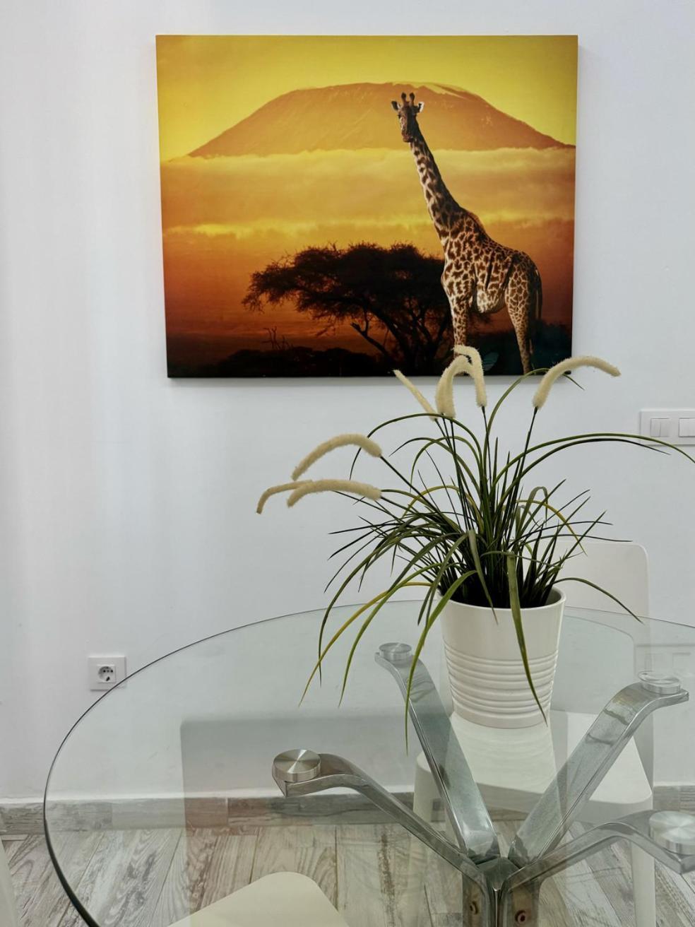 San Eugenio Charming Renovated Apartment Tenerife Costa Adeje  Exteriér fotografie