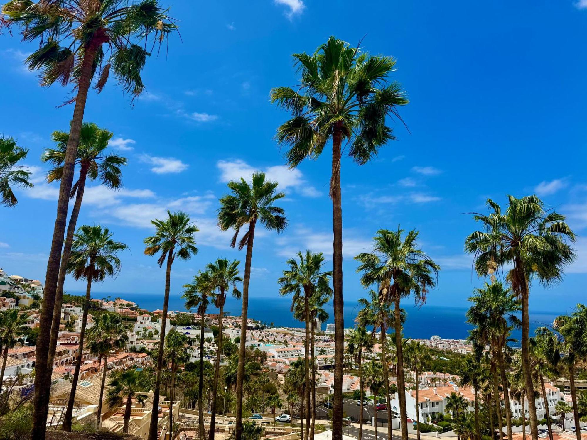 San Eugenio Charming Renovated Apartment Tenerife Costa Adeje  Exteriér fotografie