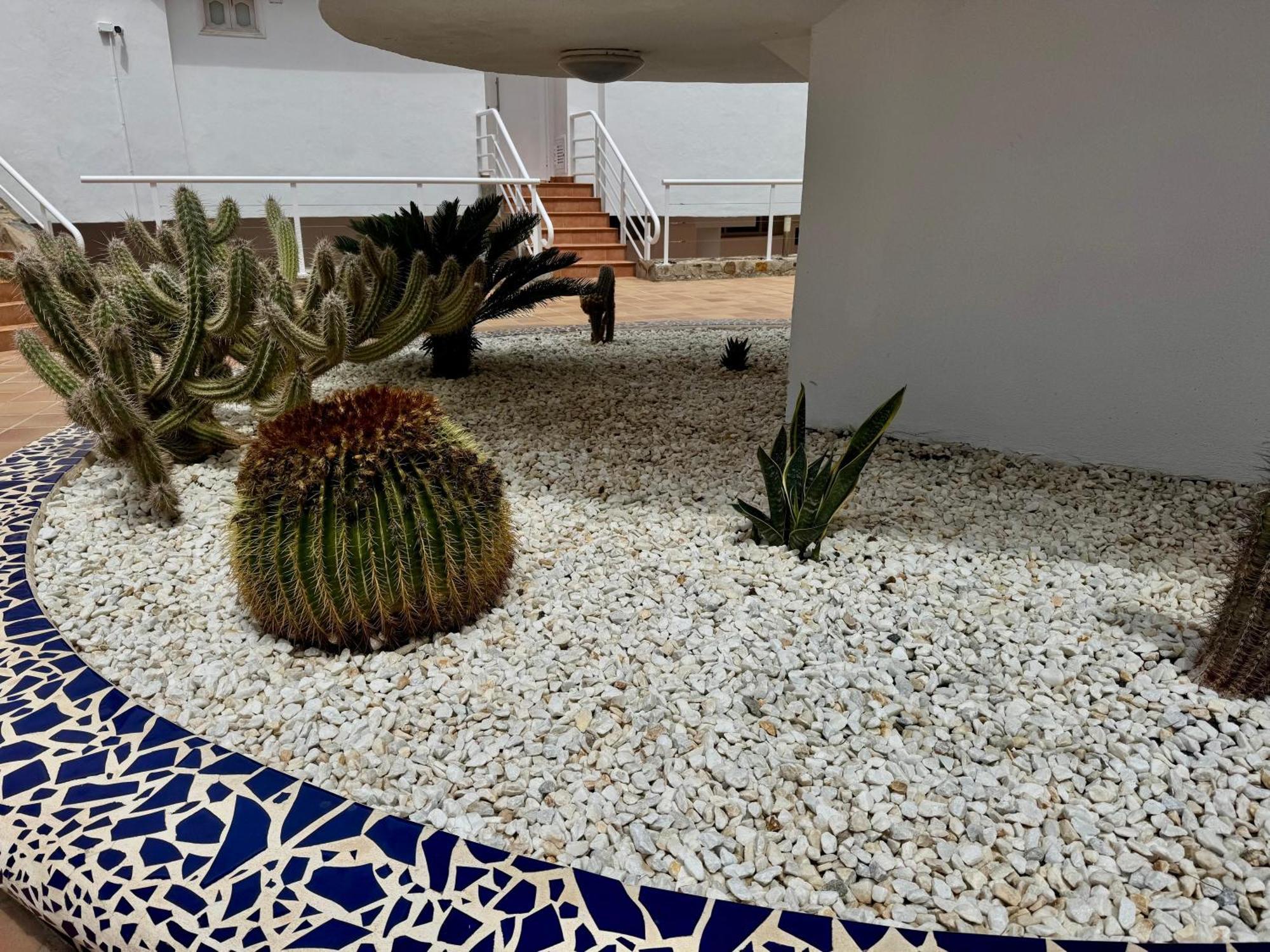 San Eugenio Charming Renovated Apartment Tenerife Costa Adeje  Exteriér fotografie